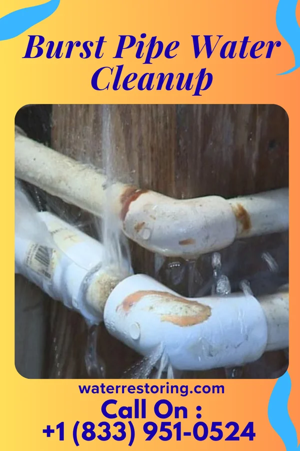 Burst Pipe Water Cleanup in Colfax, LA