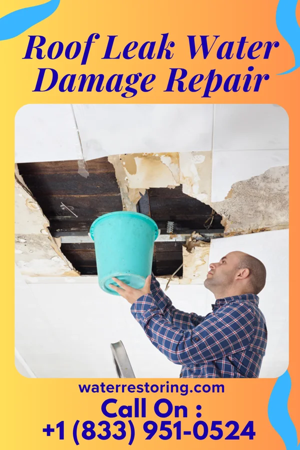 Roof Leak Water Damage Repair in Colfax, LA