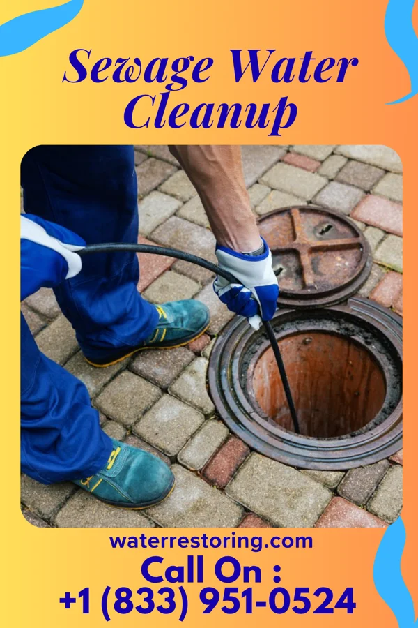 Sewage Water Cleanup in Colfax, LA